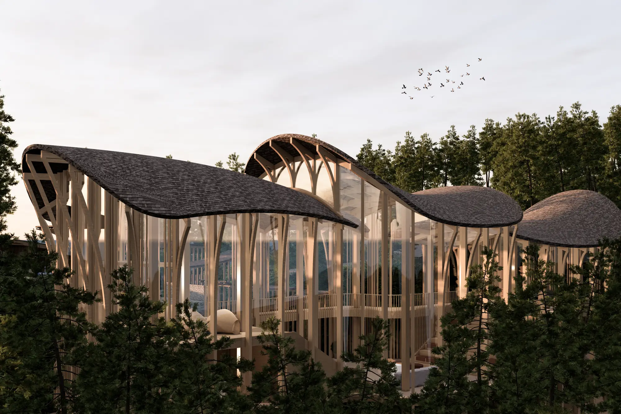 Forest Resort by StudioDuo, Da Lat, Vietnam